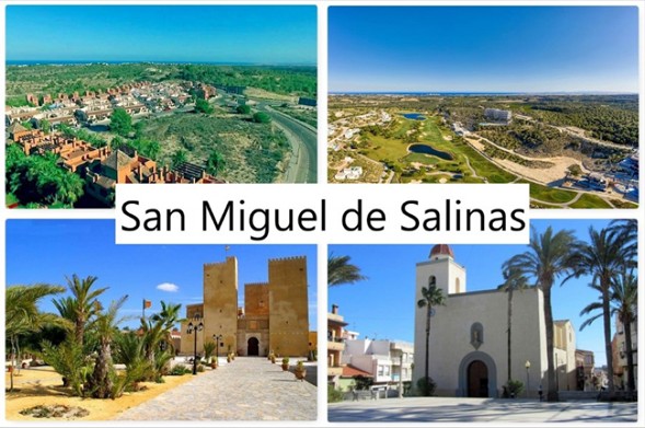 Imagen13
